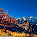 ab_99kap01