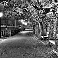 zellamseeHDR_14
